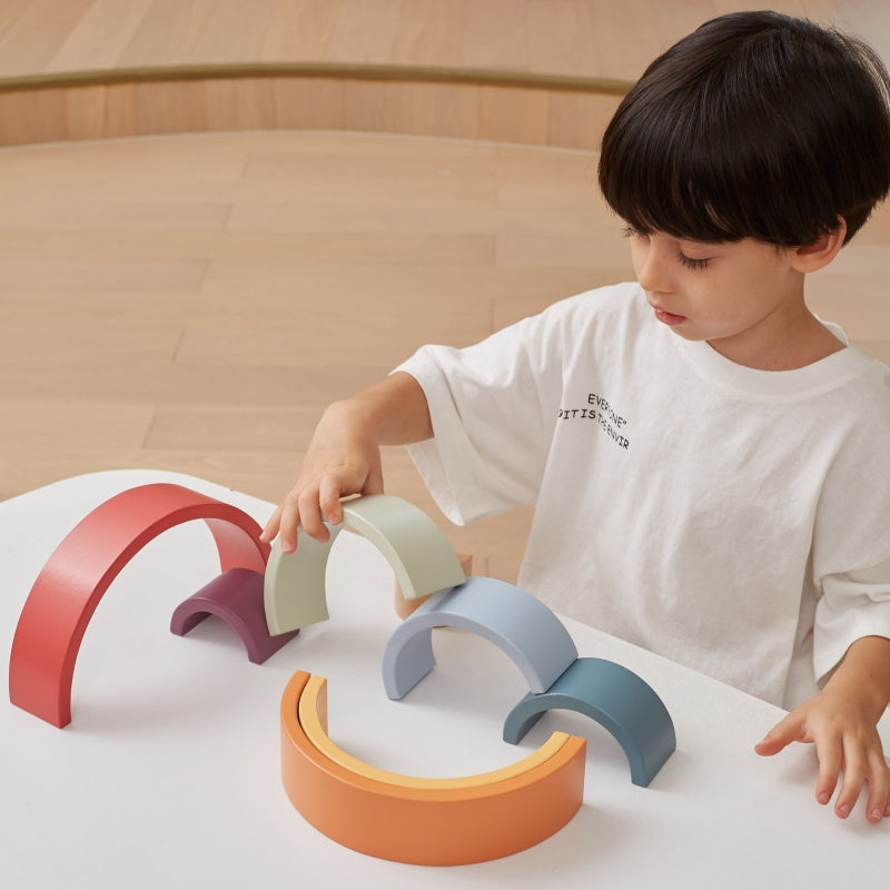 Medinės Montessori kaladėlės, vaivorykštė,  VIGA