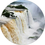 Dovile Maciuleviciute