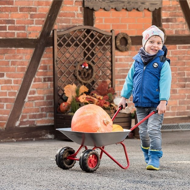 Metalinis vaikiškas karutis su dviem ratais Rolly Toys