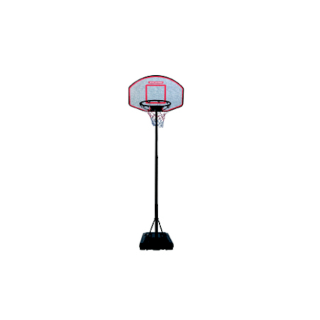 Krepšinio rinkinys 190-260cm