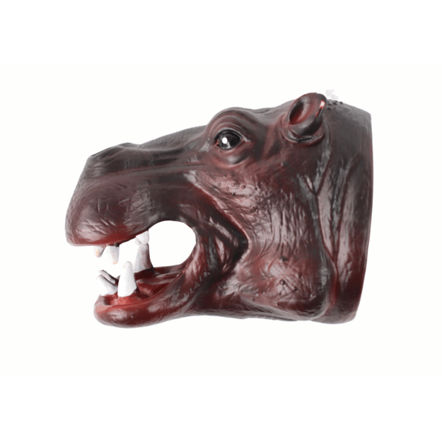 Hipopotamo galva