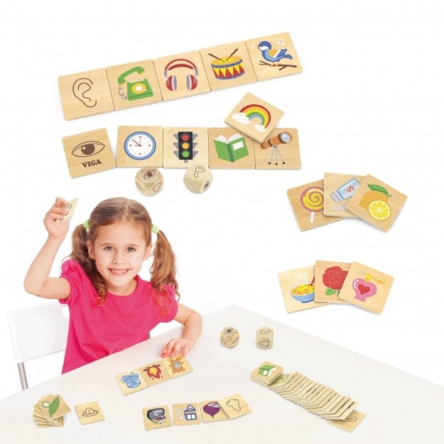 Medinė Montessori rūšiavimo dėlionė 37 el., VIGA