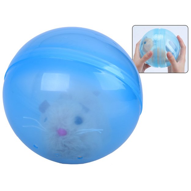 Interaktyvus žiurkėnas kamuolyje