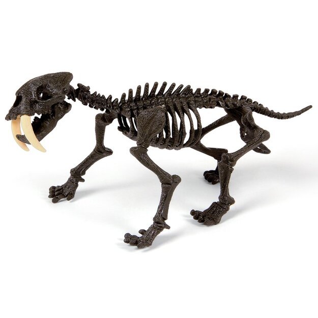Priešistorinio tigro skeletas, Clementoni