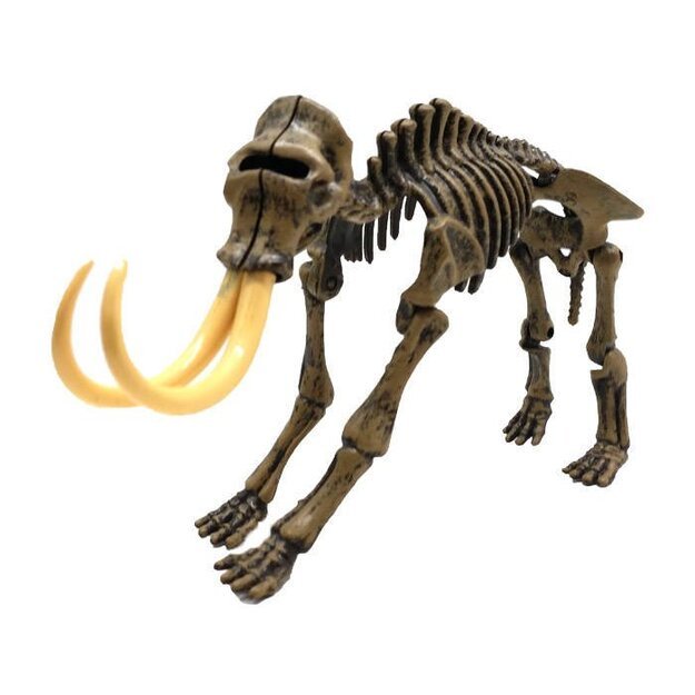 Archeologinis rinkinys mamuto 3D skeletas