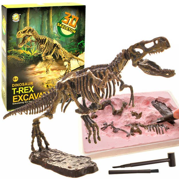 Archeologinis rinkinys Tyranozauro 3D skeletas