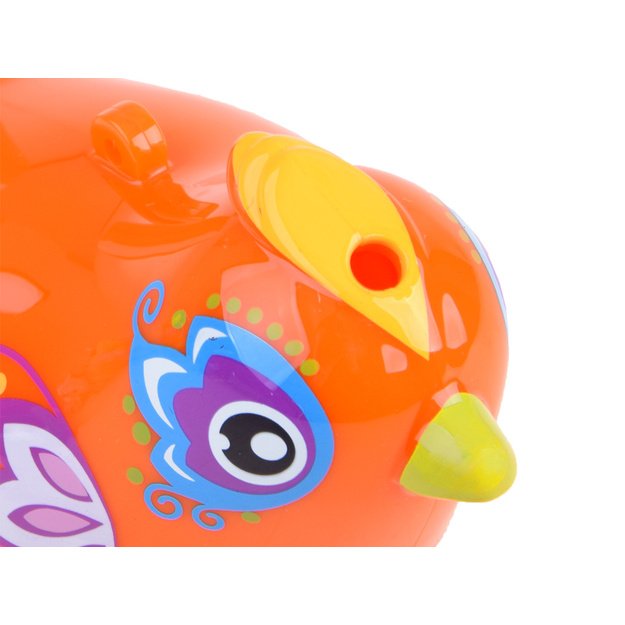 Vandens švilpukas paukštis oranžinis, Hola